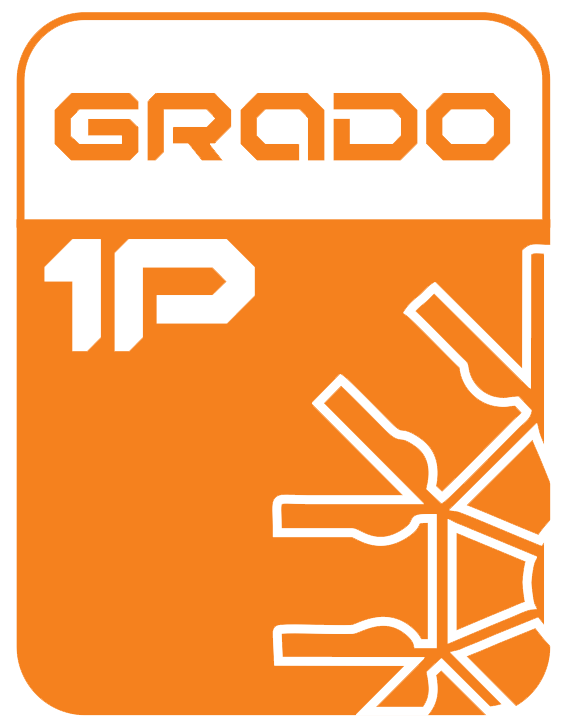 Primaria 1: La diversidad que nos rodea.